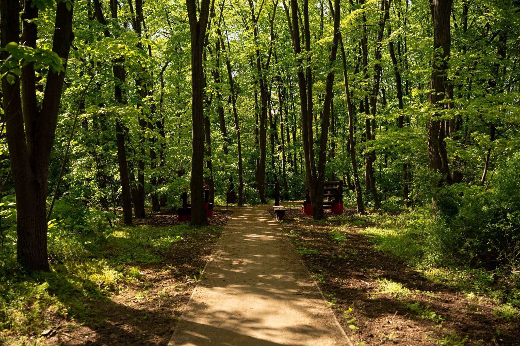 Detalj nove trim staze u Bloku 6