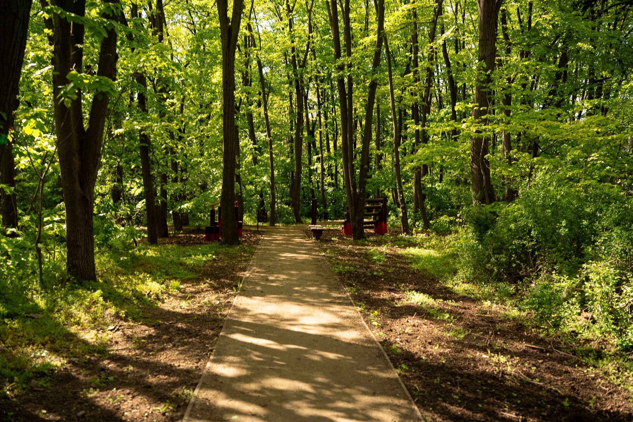 Trim staza u zelenom okruženju Bloka 6