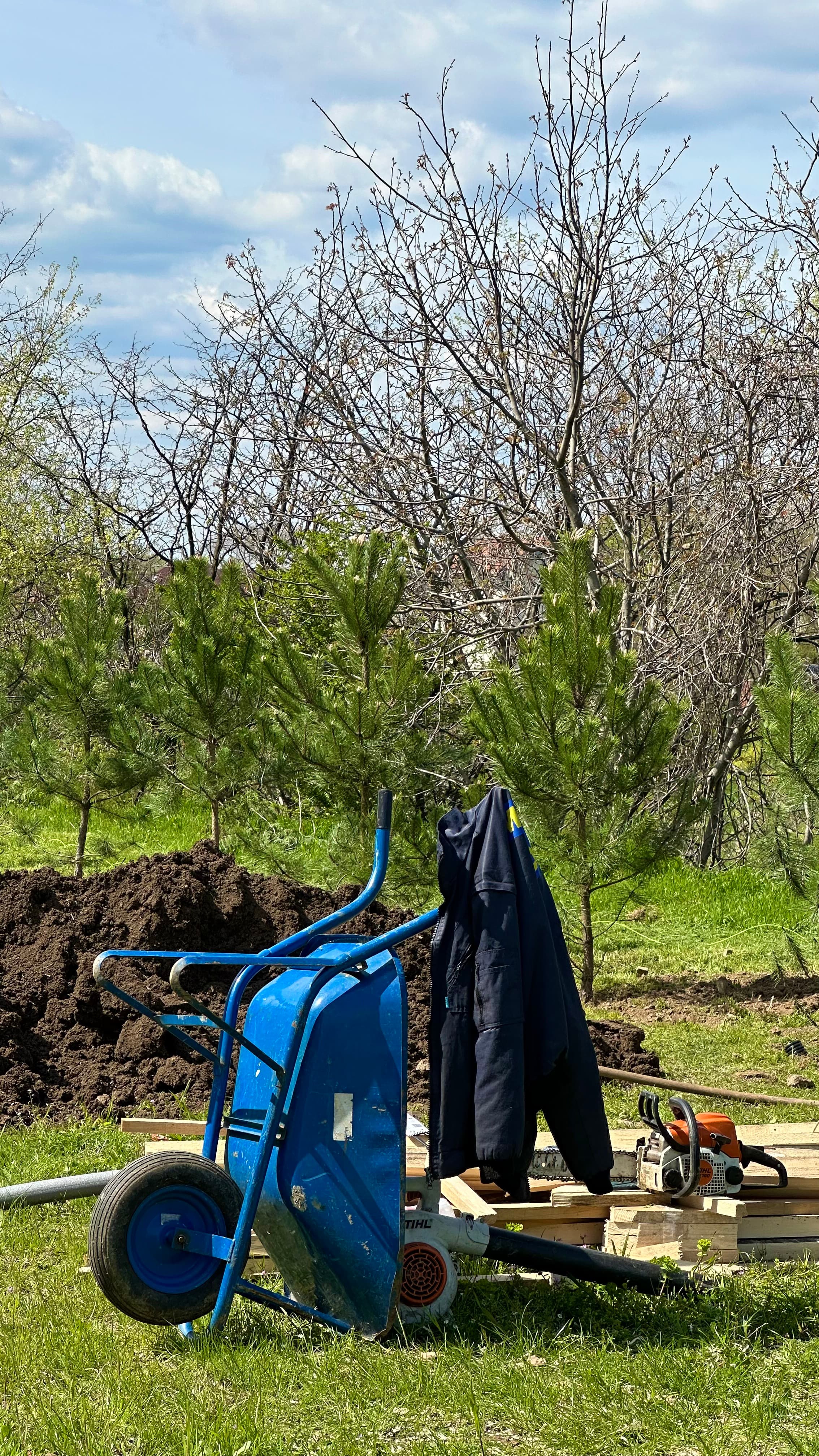 Ozone Residence, zelena inicijativa sadnje drveća